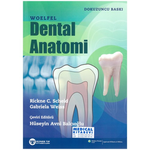 Dental Anatomi Woelfel 